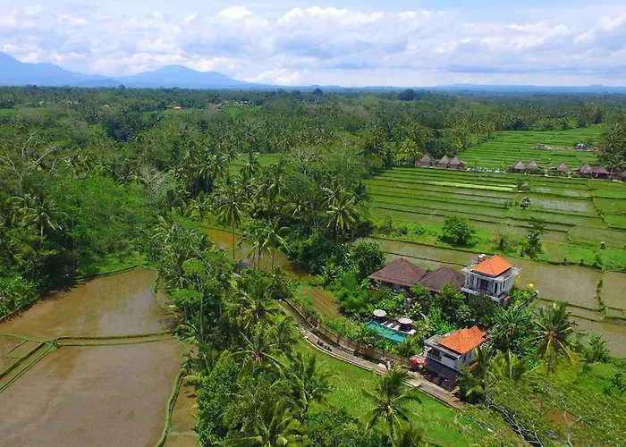 Tini Ubud (Bali)