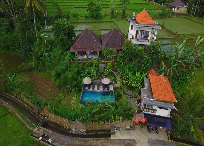 Guest house Tini 2*