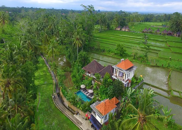 Tini Ubud (Bali)