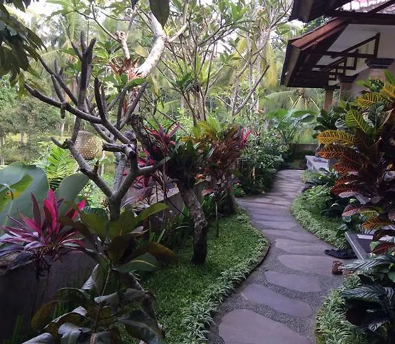 Tini Ubud (Bali)