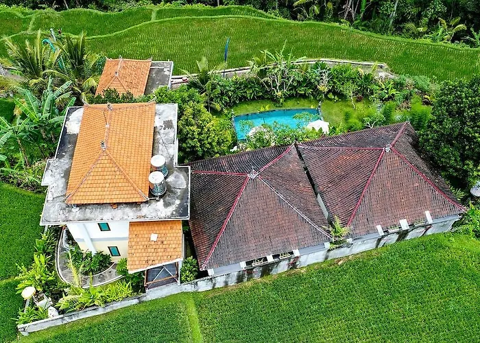 Tini Guest house 2*