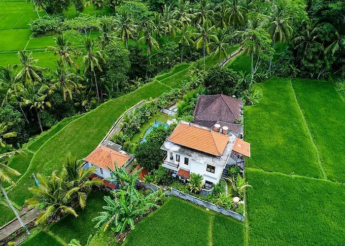 Guest house Tini 2*