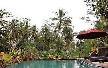 Guest house Tini 2*