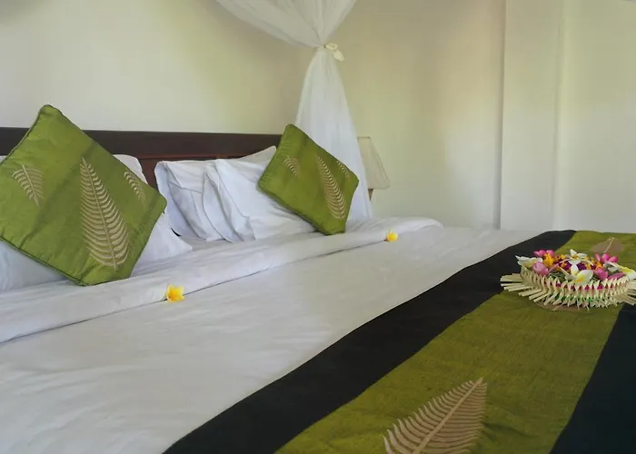 Tini Guest house
