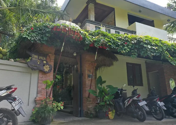 Guest house Tini 2*