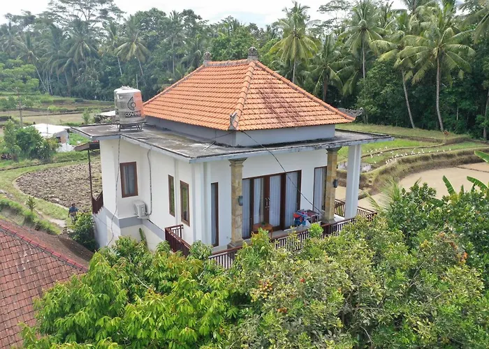 Guest house Tini 2*
