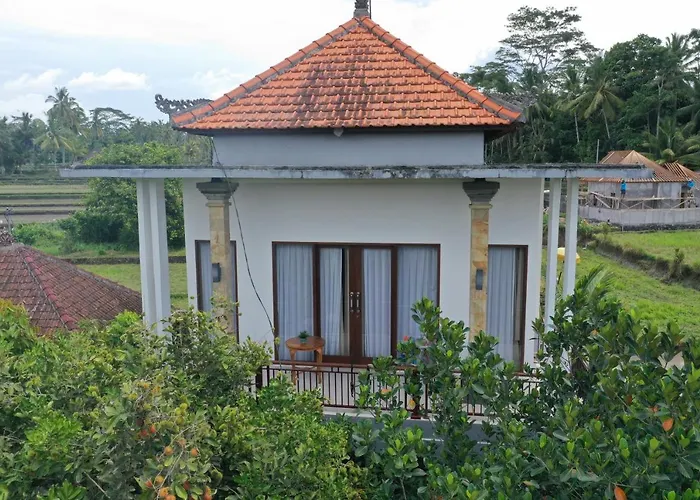 Tini Guest house 2*