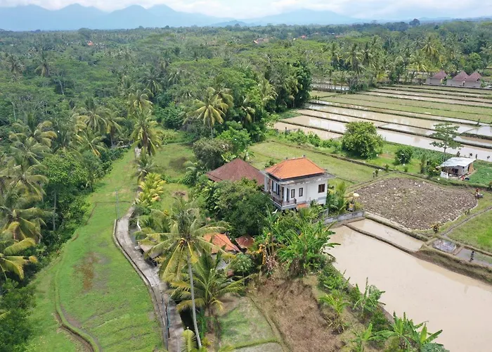 Tini 2* Ubud (Bali)
