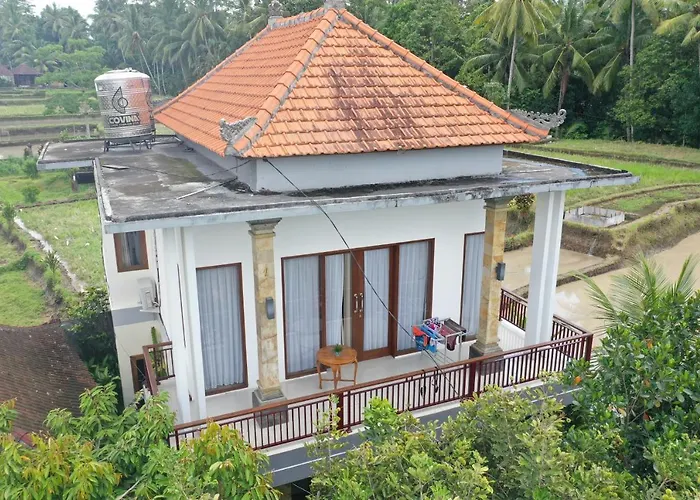 Guest house Tini 2*