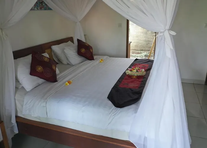 Guest house Tini 2*