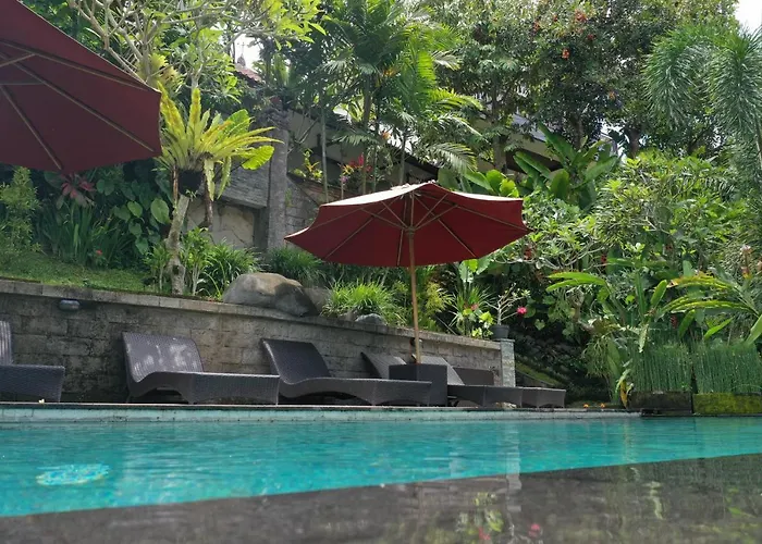 Tini Guest house 2*
